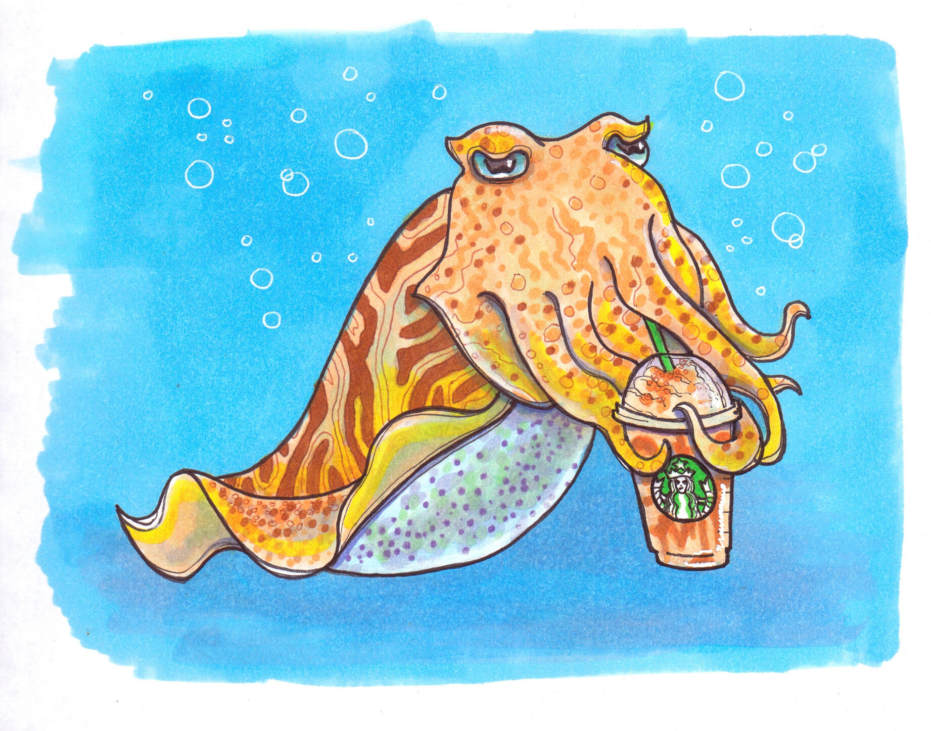 The Caramel Frappuccino (alcohol markers)