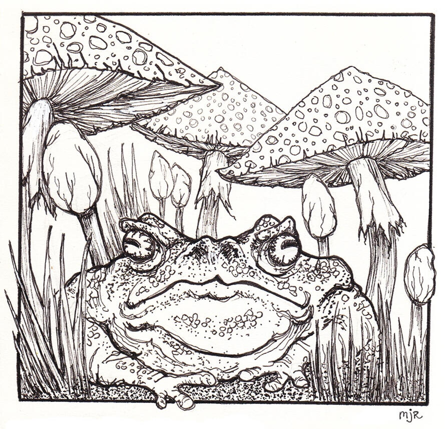 Toad &amp; Toadstools (ballpoint pen)